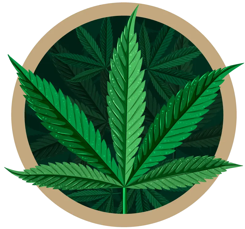 Hemp is not marijuana
